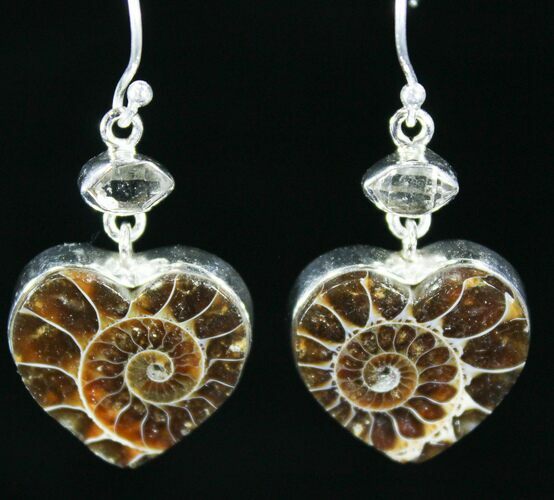 Fossil Ammonite Earrings - Sterling Silver #26551